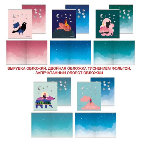 Тетрадь 48 л. (клетка) К-Э Волшебные грезы ТК2Л487239