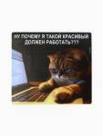 Коврик для мыши Красивые тоже работают 22х20 см 10878567